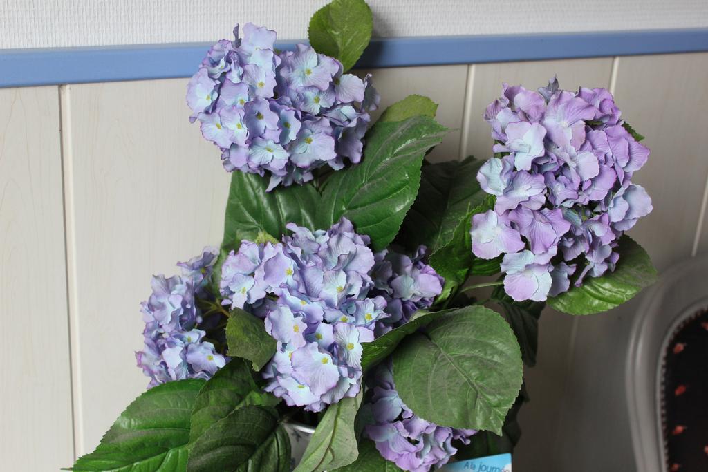 La Demeure Aux Hortensias Pleurtuit Exterior photo